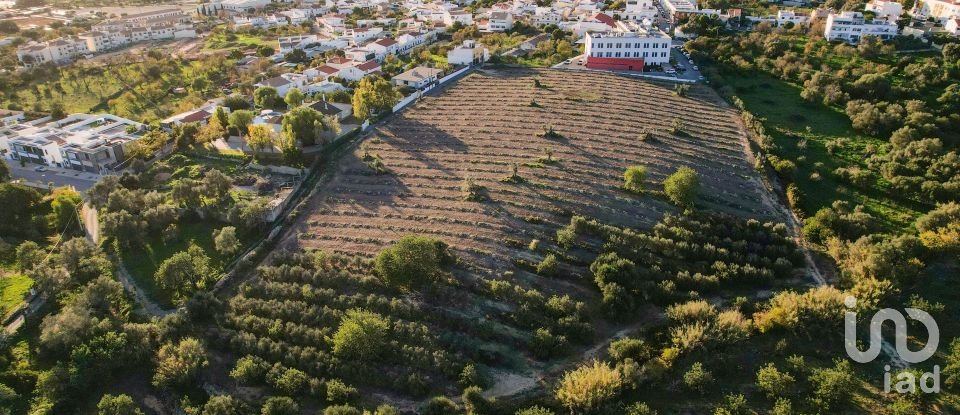 Terreno para construção em Conceição e Estoi de 22 000 m²