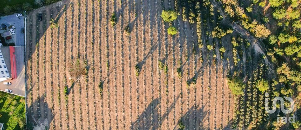 Terreno para construção em Conceição e Estoi de 22 000 m²