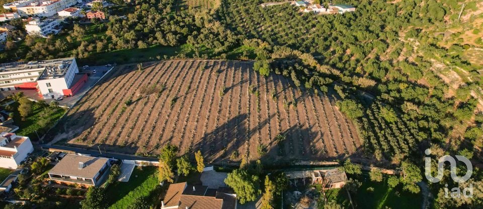 Terreno para construção em Conceição e Estoi de 22 000 m²