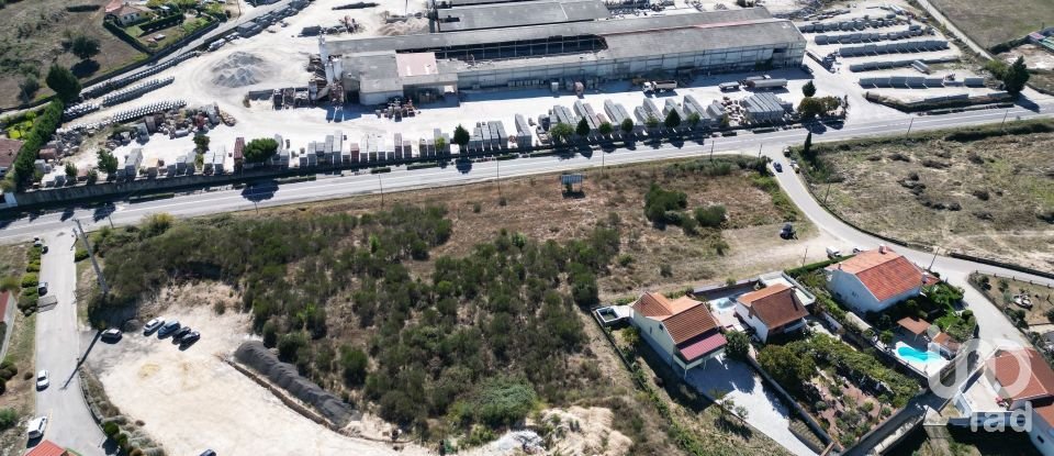 Building land in São Pedro de Agostém of 12,260 m²