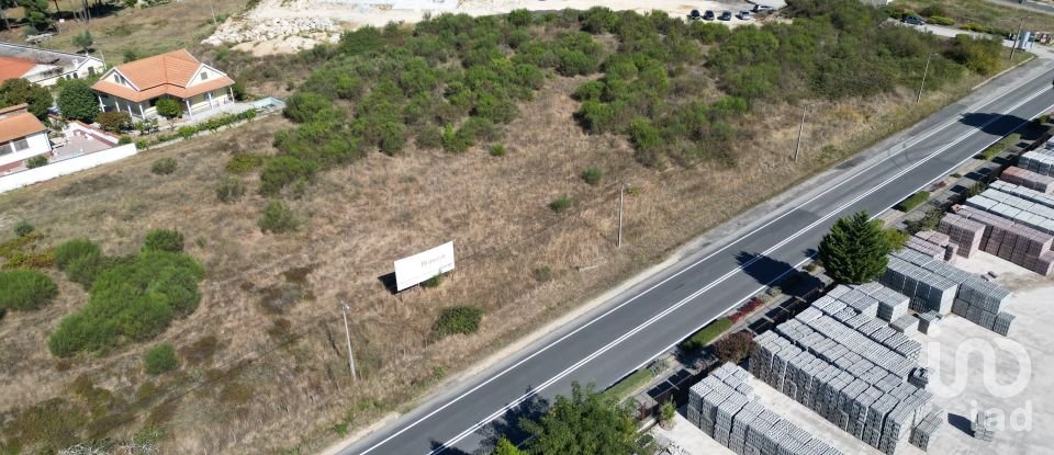 Building land in São Pedro de Agostém of 12,260 m²