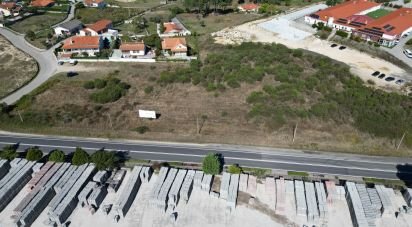 Building land in São Pedro de Agostém of 12,260 m²