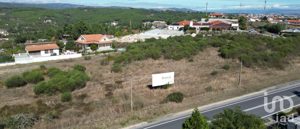 Terrain à bâtir à São Pedro de Agostém de 12 260 m²