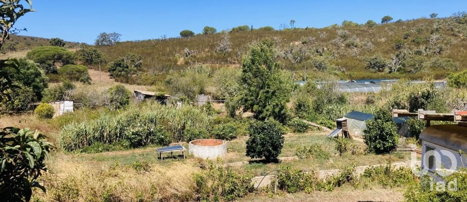 Terreno em Barão de São Miguel de 64 000 m²