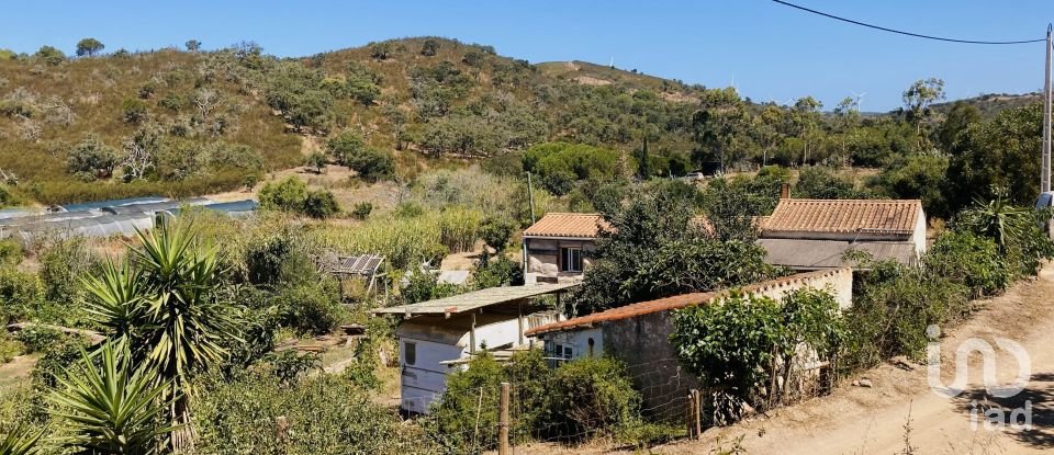 Terreno em Barão de São Miguel de 64 000 m²