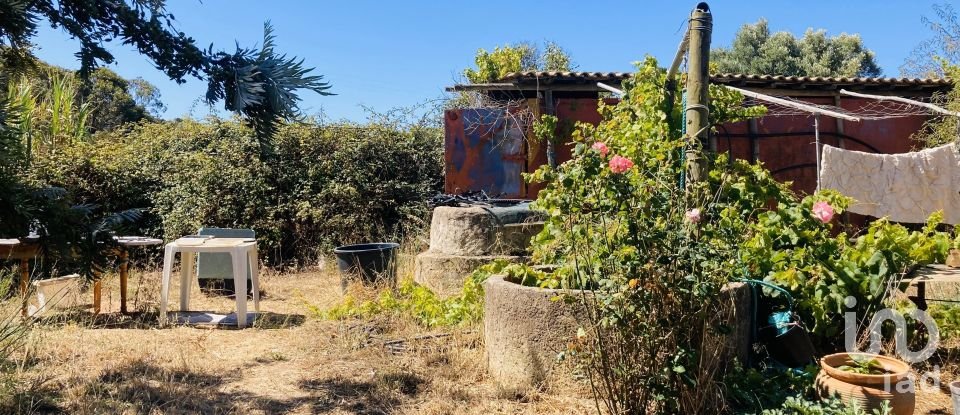 Terreno em Barão de São Miguel de 64 000 m²