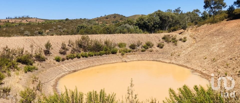 Terreno em Barão de São Miguel de 64 000 m²