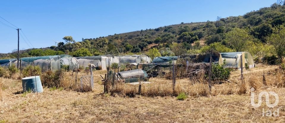 Terreno em Barão de São Miguel de 64 000 m²