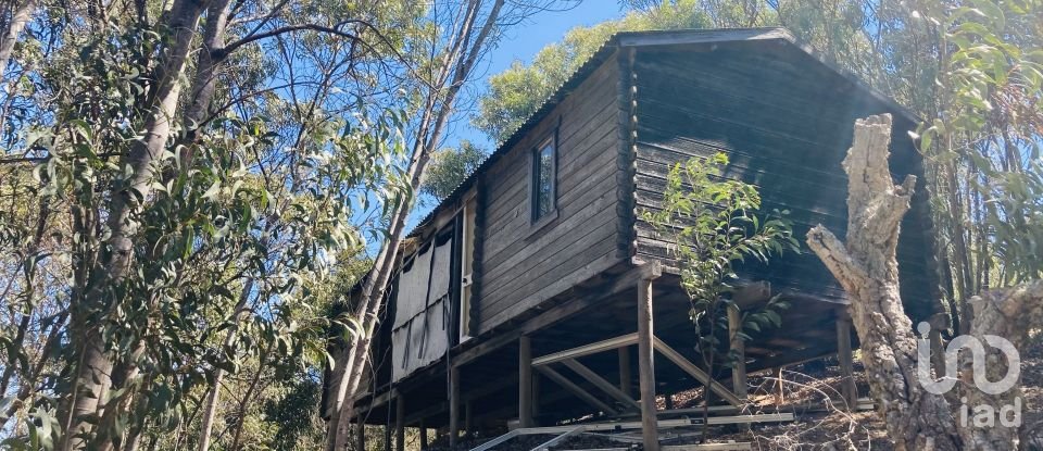 Terreno em Barão de São Miguel de 64 000 m²