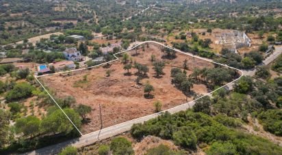 Building land in Santa Bárbara de Nexe of 8,480 m²