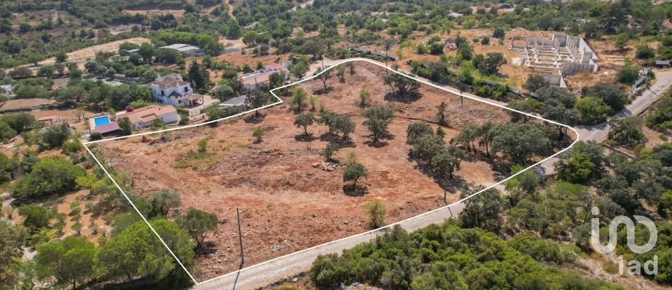 Building land in Santa Bárbara de Nexe of 8,480 m²