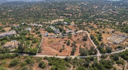 Building land in Santa Bárbara de Nexe of 8,480 m²