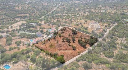 Terreno para construção em Santa Bárbara de Nexe de 8 480 m²