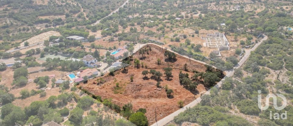 Terrain à bâtir à Santa Bárbara de Nexe de 8 480 m²