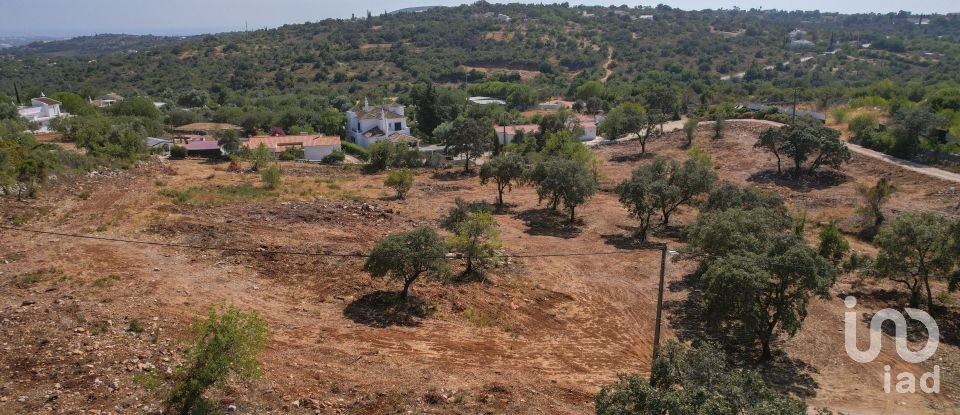 Building land in Santa Bárbara de Nexe of 8,480 m²