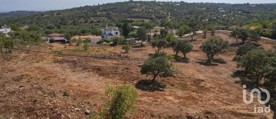 Building land in Santa Bárbara de Nexe of 8,480 m²