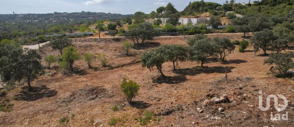 Building land in Santa Bárbara de Nexe of 8,480 m²