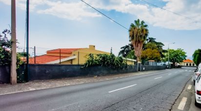 Casa / Villa T3 em Funchal (Santa Maria Maior) de 105 m²