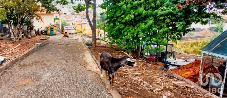 House T3 in Funchal (Santa Maria Maior) of 105 m²