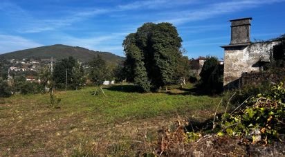 Ferme T0 à Durrães E Tregosa de 6 500 m²