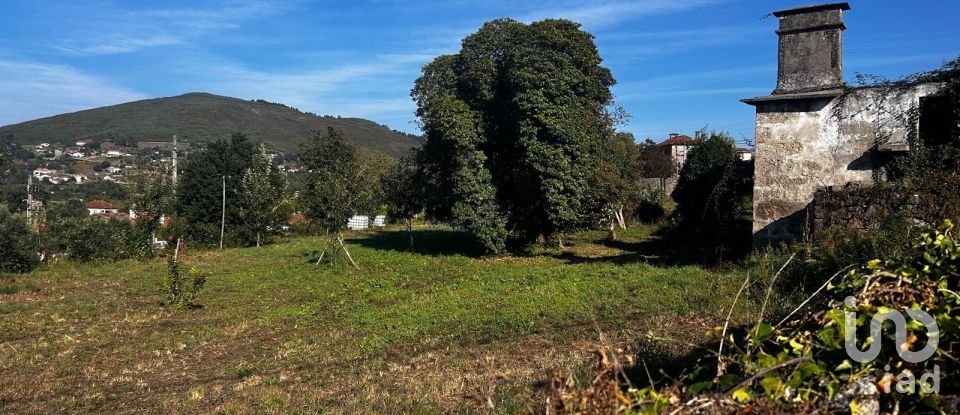 Quinta T0 em Durrães E Tregosa de 6 500 m²