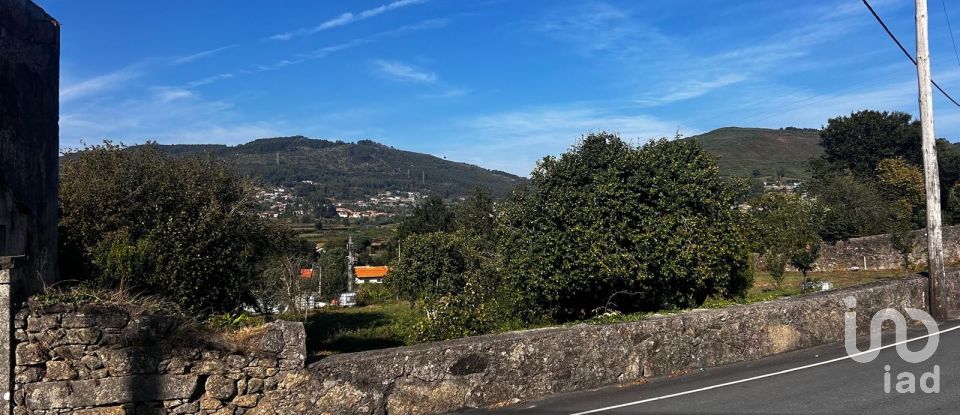 Ferme T0 à Durrães E Tregosa de 6 500 m²