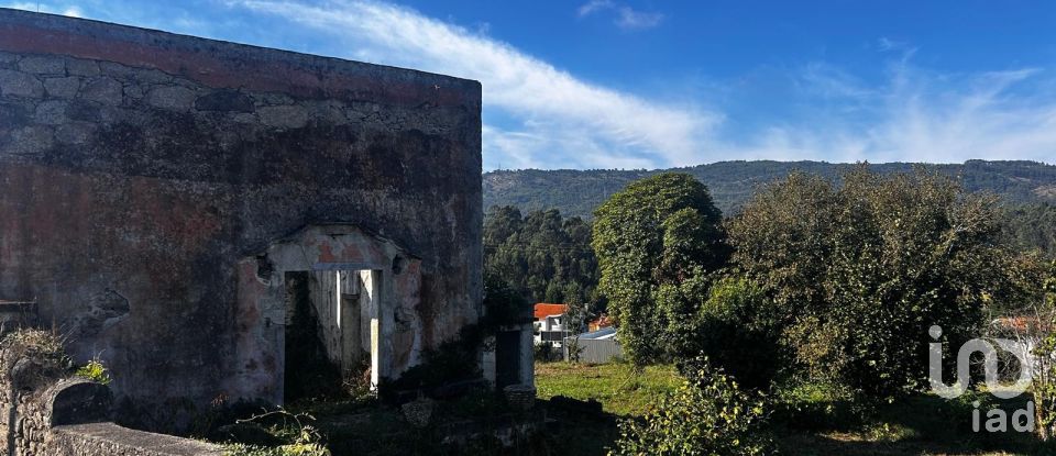 Quinta T0 em Durrães E Tregosa de 6 500 m²