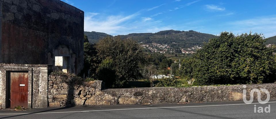 Ferme T0 à Durrães E Tregosa de 6 500 m²