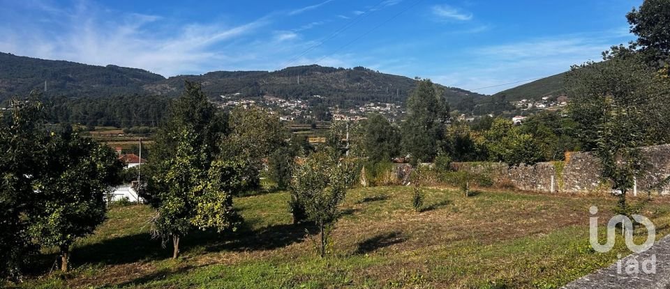 Ferme T0 à Durrães E Tregosa de 6 500 m²