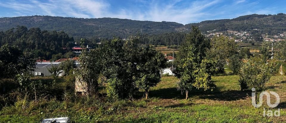 Quinta T0 em Durrães E Tregosa de 6 500 m²