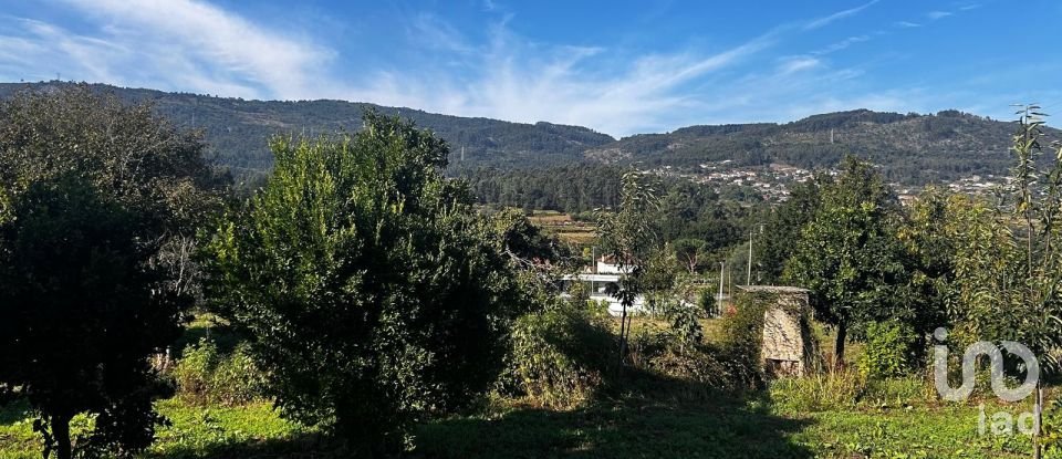 Ferme T0 à Durrães E Tregosa de 6 500 m²