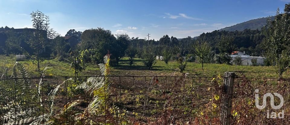 Ferme T0 à Durrães E Tregosa de 6 500 m²