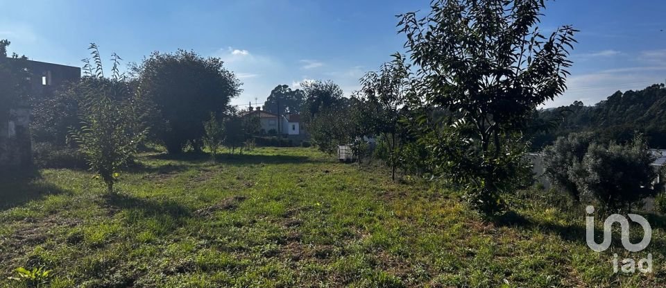 Ferme T0 à Durrães E Tregosa de 6 500 m²