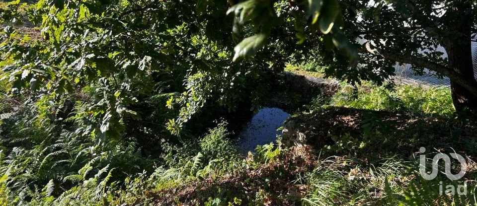 Ferme T0 à Durrães E Tregosa de 6 500 m²