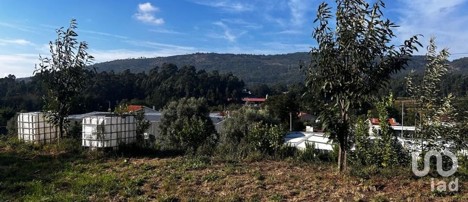 Quinta T0 em Durrães E Tregosa de 6 500 m²