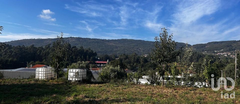 Ferme T0 à Durrães E Tregosa de 6 500 m²