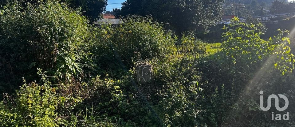 Ferme T0 à Durrães E Tregosa de 6 500 m²