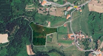 Land in Cendufe of 12,240 m²