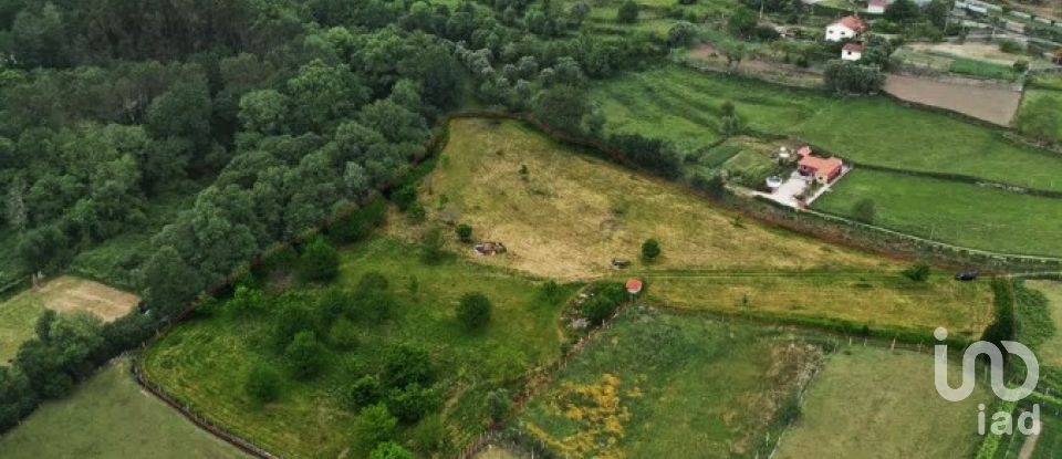 Terrain à Cendufe de 12 240 m²