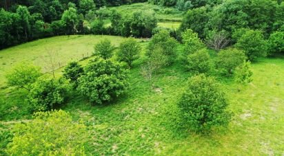 Terrain à Cendufe de 12 240 m²