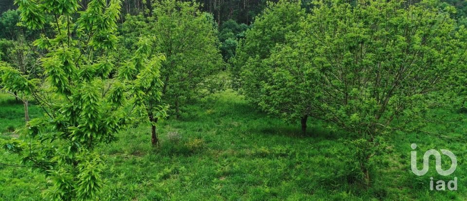 Terrain à Cendufe de 12 240 m²