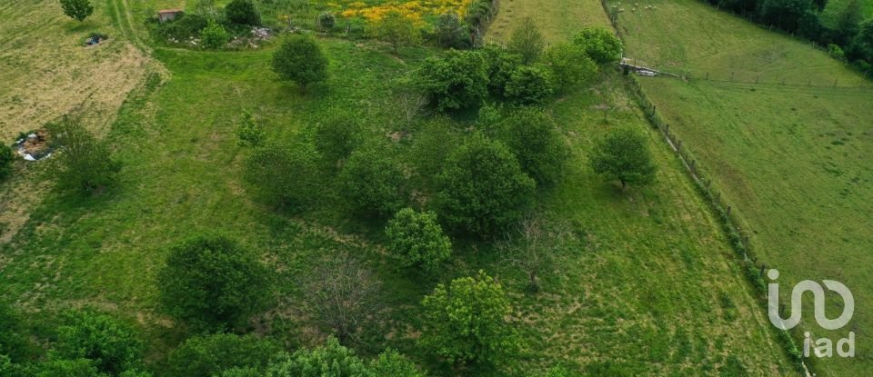 Terrain à Cendufe de 12 240 m²