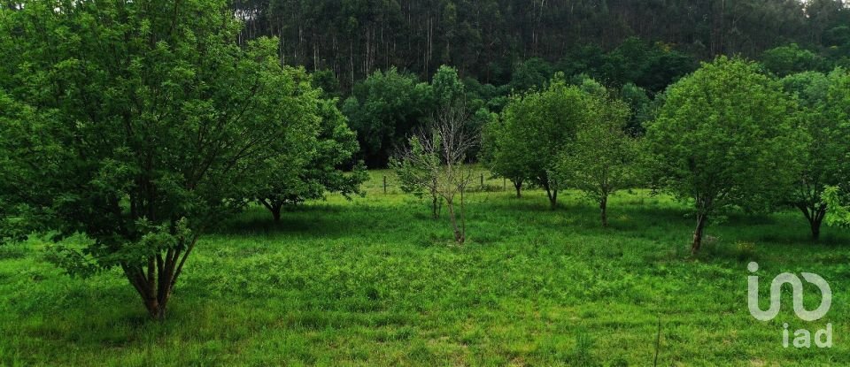 Terrain à Cendufe de 12 240 m²