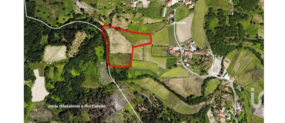 Terrain à Cendufe de 12 240 m²