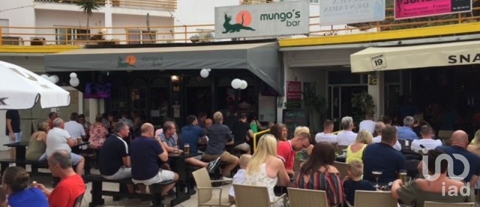 Brasserie-type bar in Lagoa e Carvoeiro of 80 m²