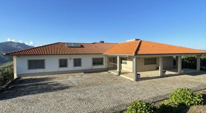 Farm T6 in Penajóia of 305 m²