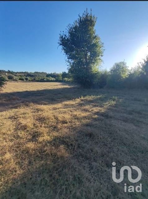 Terreno Agrícola em Seixo da Beira de 31 075 m²