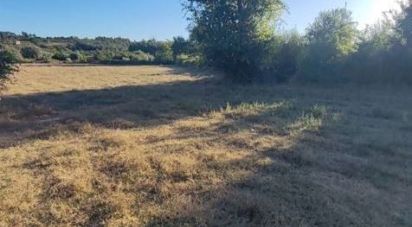 Agricultural land in Seixo da Beira of 31,075 m²