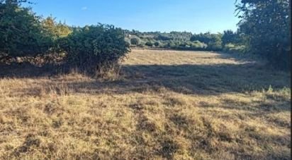 Terreno Agrícola em Seixo da Beira de 31 075 m²