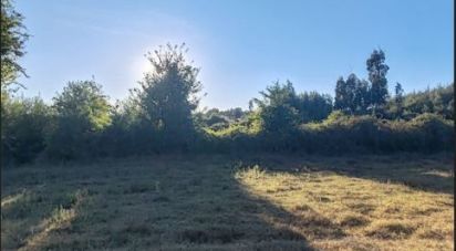 Terreno Agrícola em Seixo da Beira de 31 075 m²